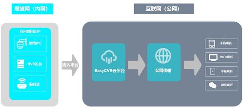 easydss视频平台点播服务选中点播文件删除失败分析及排查